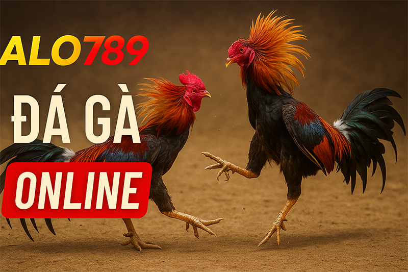ALO789 là sân chơi đá gà uy tín